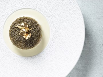 Hof Van Cleve Creatie