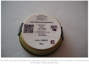 How To Buy And Enjoy Caviar Cites