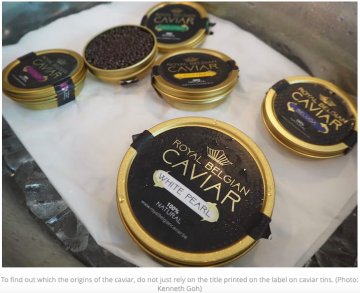 How To Buy And Enjoy Caviar Different Types