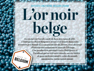 L'or Noir Belge