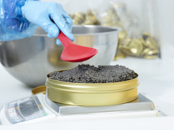 Royal Belgian Caviar Reportage Knack Weekend