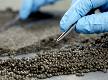 Royal Reportage 315986