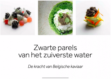 Zwarte Parels Van Het Zuiverste Water