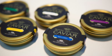 Caviar Tin Beluga Osietra Baeri 