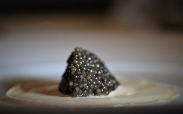 Culinary Caviar Creation 2