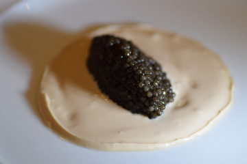 Gueldenstaedtii Baerii Caviar Creation (2)