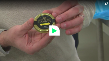 Interview Productie In Tijden Van Corona Vrt Nieuws Kaviaar