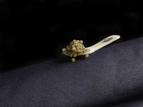 Royal Belgian Caviar 2 307113 New A