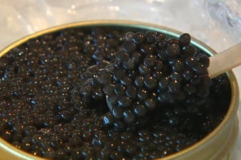 Belgische Kaviaar 3 Jaar Sneller Rijp