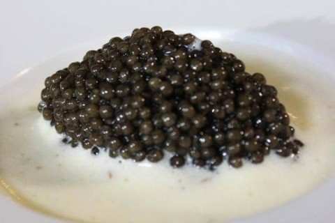 Oestersabayon Kaviaar
